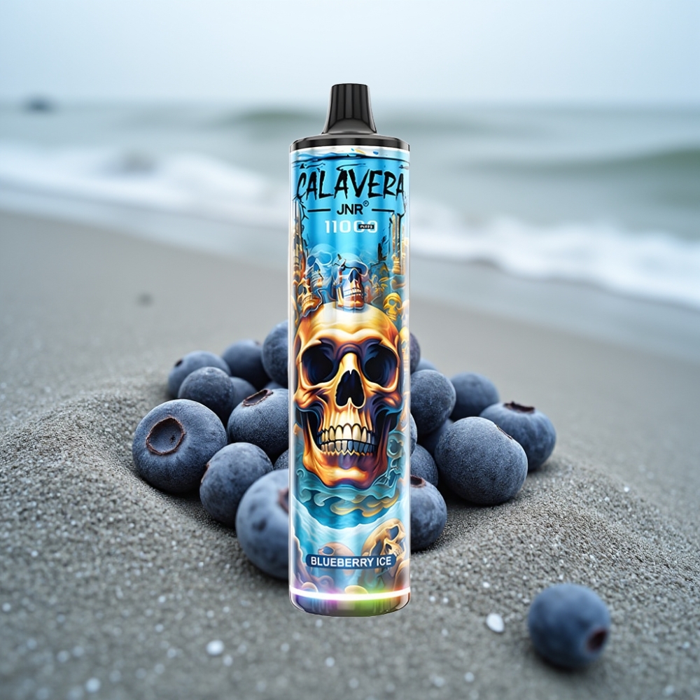 JNR Calavera 11000 Puffs Jednorazowy E-papieros Lodowo-Jagodowy Typ-C 850mAh 21ml