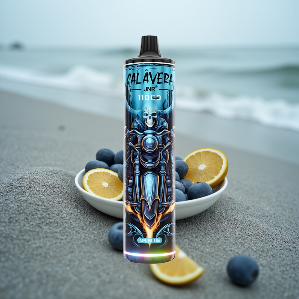 JNR Calavera 11000 Puffs Jednorazowy E-papieros Mr Blue 850mAh 21ml Port Type-C 10ohm Mesh