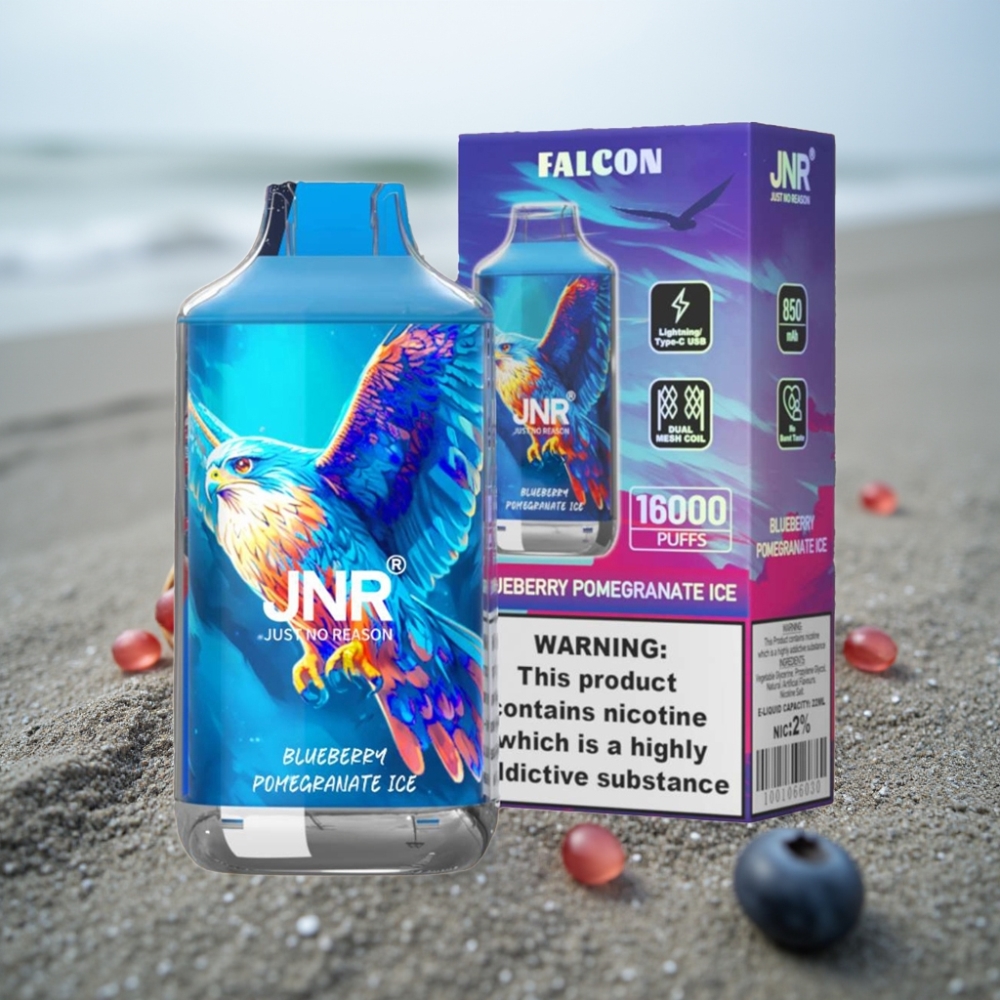JNR Falcon 16000 Puffs 22ml Dual Mesh Coil Borówka Granat Lód Typ C LED 0 2