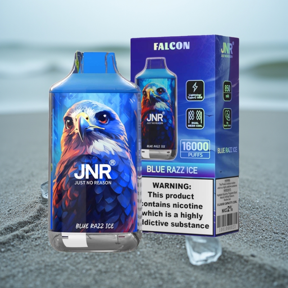 JNR Falcon 16000 Puffs Dispozalny E-papieros Lodowa Borówka 850 mAh 22ml Dual Mesh Coil