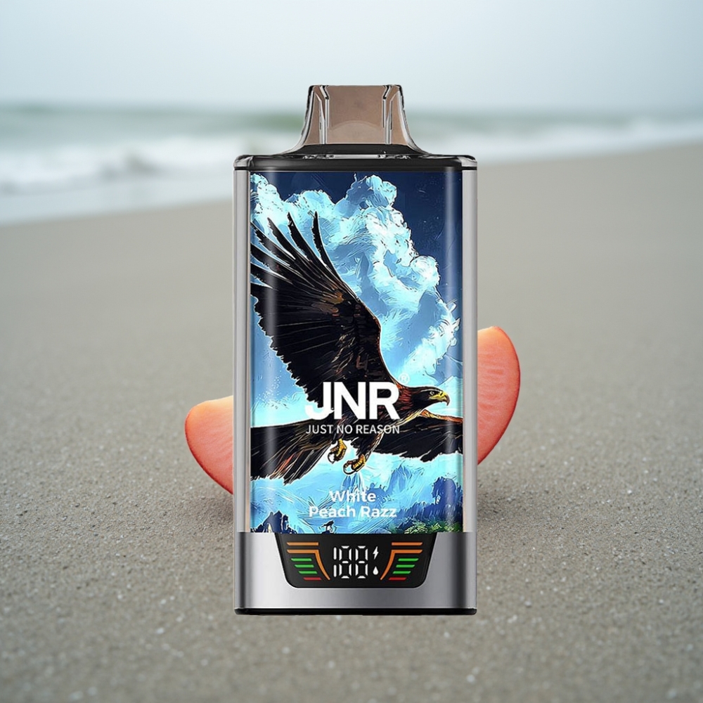 JNR Falcon Pro 28000 30ml Biała Brzoskwinia Razz Smart Display Dual Mesh USB-C