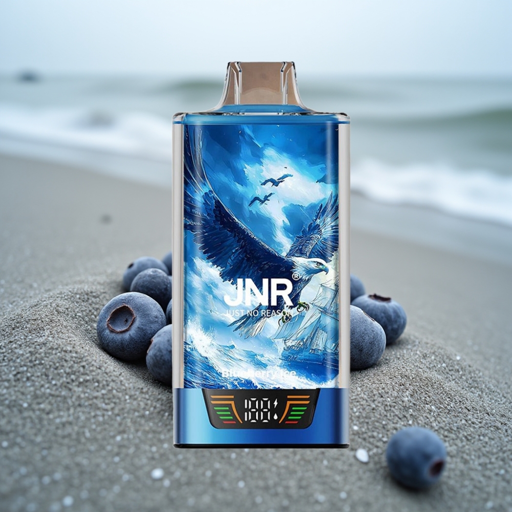 JNR Falcon Pro 28000 Disposable Vape Borówka Lód 30ml 950mAh 5 Nikotyny