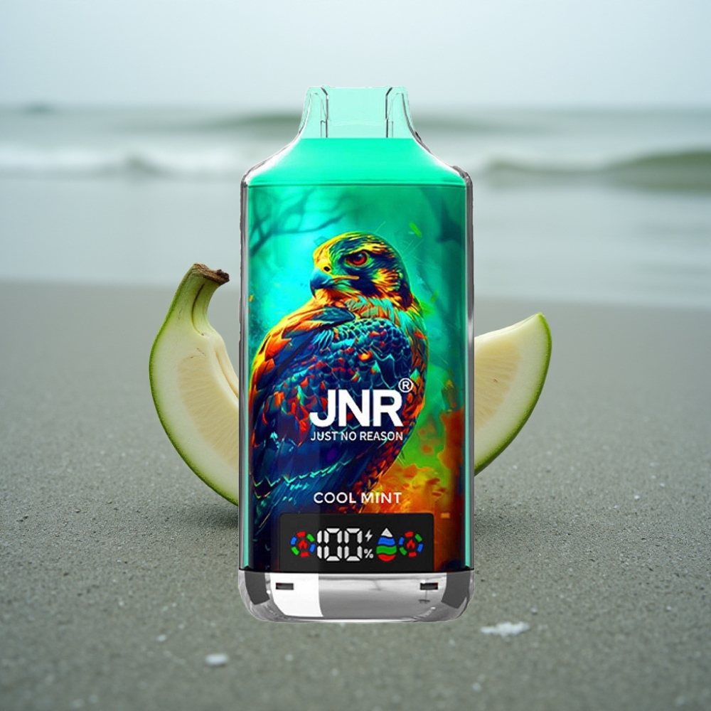 JNR Falcon X 18000 Puffs 24ml 750mAh Dual Mesh Coil Cytrusowa Mięta