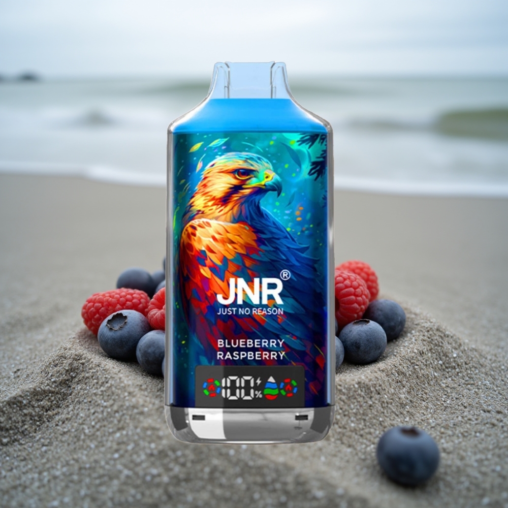 JNR Falcon X 18000 Puffs 24ml Dual Mesh Coil Cyfrowy Wyświetlacz Borówka Malina
