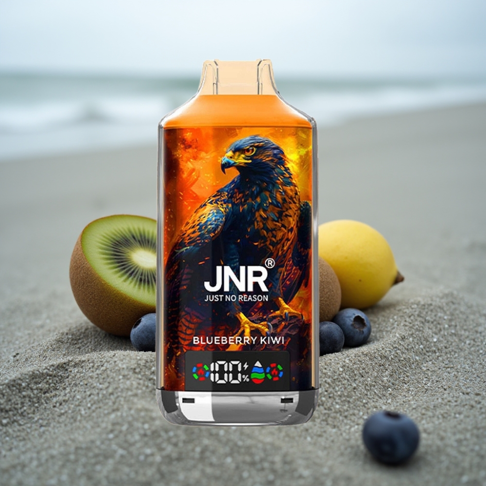 JNR Falcon X 18000 Puffs 24ml Dual Mesh Coil Cyfrowy Wyświetlacz Jagoda Kiwi