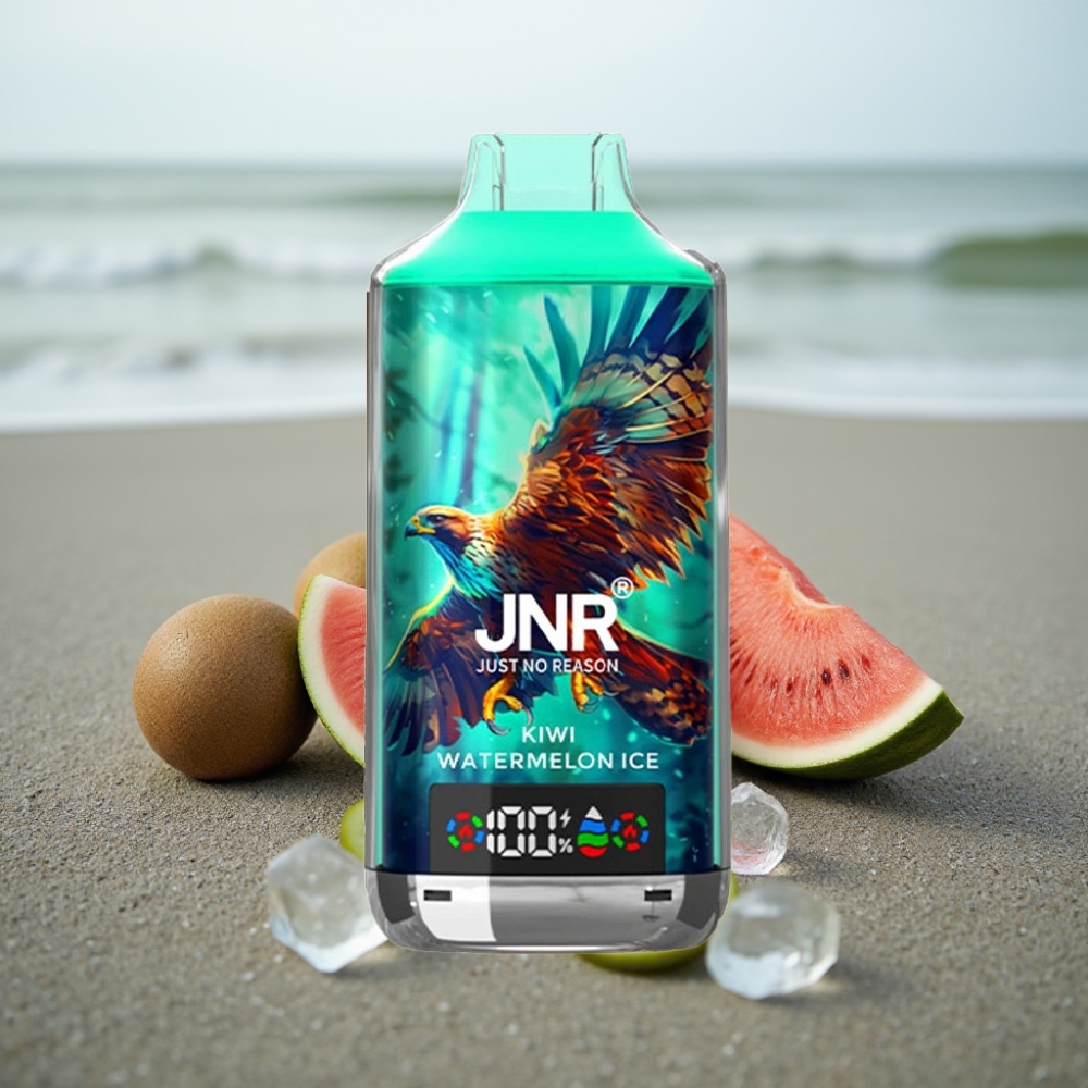 JNR Falcon X 18000 Puffs 750mAh 24ml Kiwi Arbuz Lód Cyfrowy Typ-C Dual Mesh