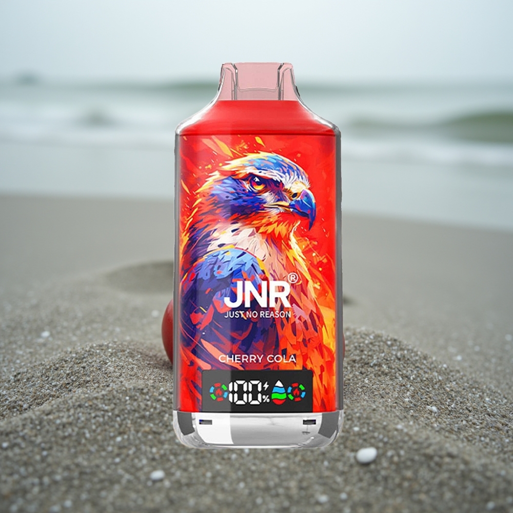 JNR Falcon X 18000 Puffs Cyklamen Rozsądny 24ml Dual Mesh Coil Typ-C