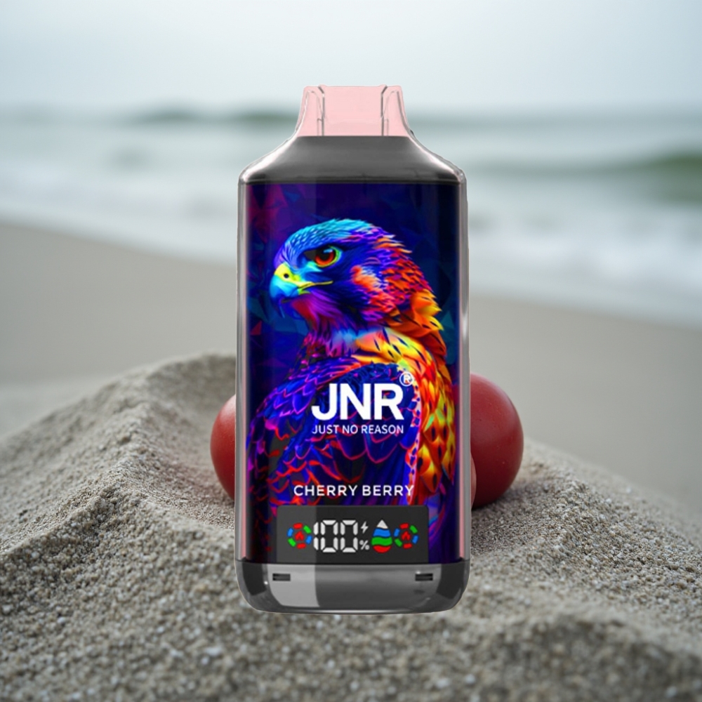 JNR Falcon X 18000 Puffs Disposable Vape Wiśniowo-Jagodowy 24ml Dual Mesh Coil Type-C
