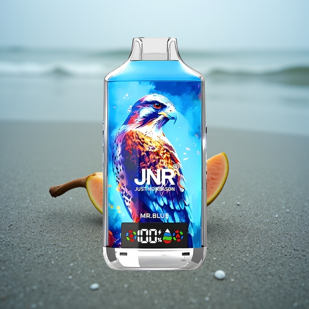 JNR Falcon X 18000 Puffs E-papieros Jednorazowy Mr Blue 24ml Dual Mesh Coil Typ-C