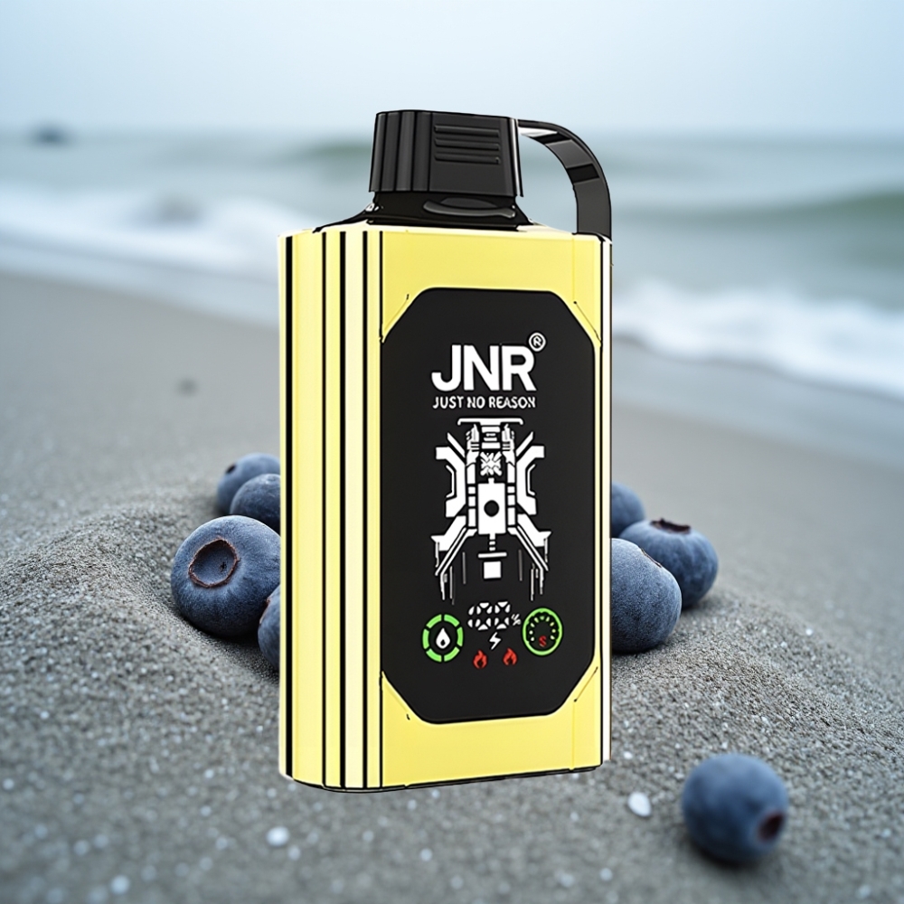 JNR Shisha Hookah Box 20500 Puffs HD Display 1000mAh 25ml Borówka Lód