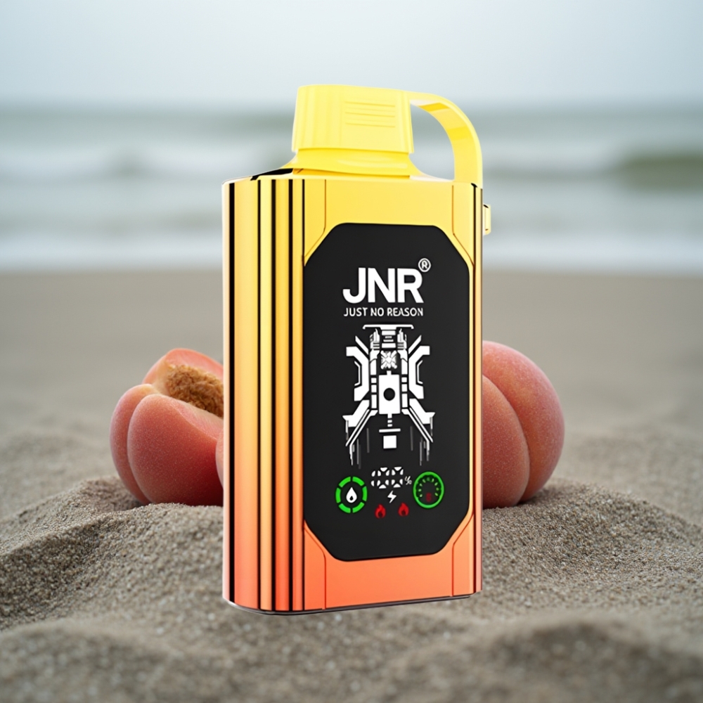 JNR Shisha Hookah Box 20500 Puffs HD Display 1000mAh 25ml Dual Mesh Coil Type-C Sokute Brzoskwinie