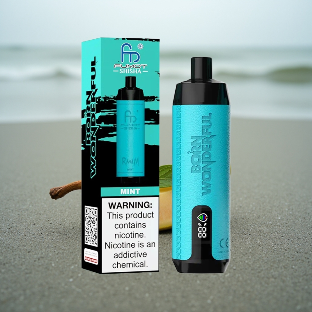 RandM Fumot Shisha 10000 Puffs Jednorazowy E-papieros Mięta 18ml 850 mAh Typ-C