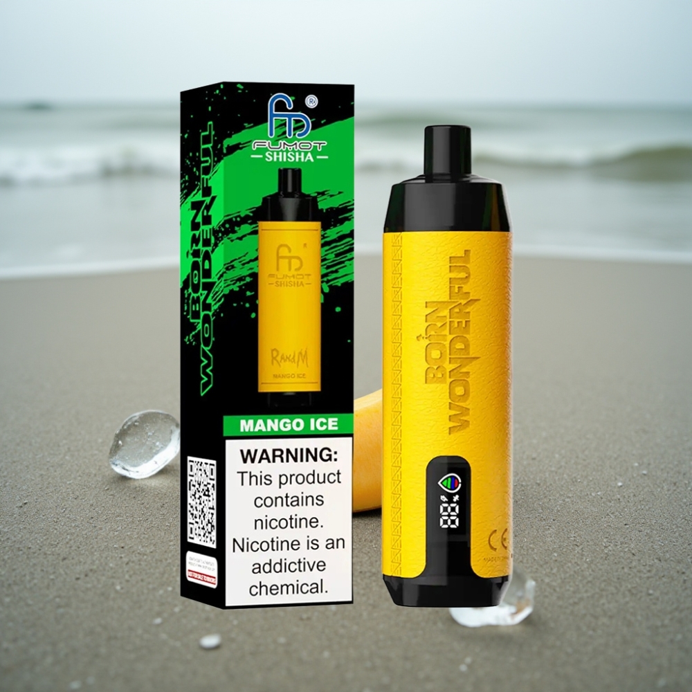 RandM Fumot Shisha 10000 Puffs LED Typ-C Mango Lód